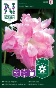 Vinda, Kejsar-, Split Second, rosa dubb.