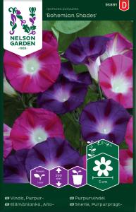 Vinda, Purpur-, Bohemian Shades