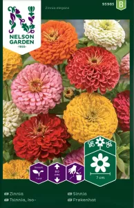 Zinnia, Hög, Bl färger