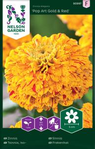 Zinnia, Pop Art Gold & Red