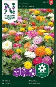 Zinnia, Takii's Choice