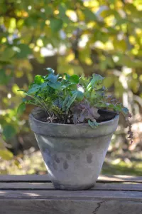 Mix, 3-i-1, Salladskålen