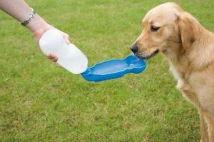 Aqua Boy Vattenflaska med skål