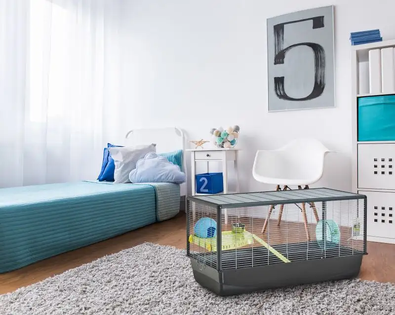 Smådjursbur Hamster Plaza Grå XL 100cm -