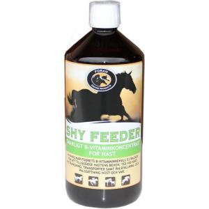 Shy Feeder B Foran