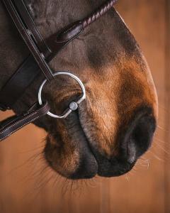 Bett 2-Del Greta Fast Ring Titanium