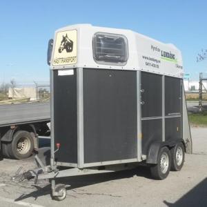 Hästsläp uthyrning