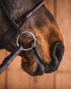 Bett 3-Del Julia Fast Ring Sweet Iron