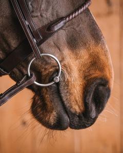 Bett 2-Del Laura Lös Ring Titanium