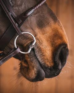 Bett 3-Del Martin Fast Ring Sweet Iron