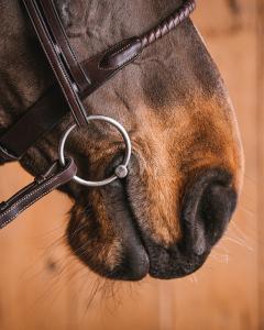 Bett Rakt Sara Fast Ring Titanium