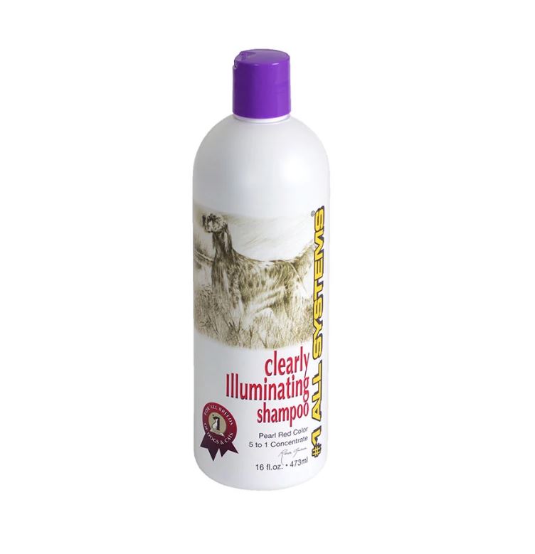 #1 All Systems Clearly Illuminating Shampoo