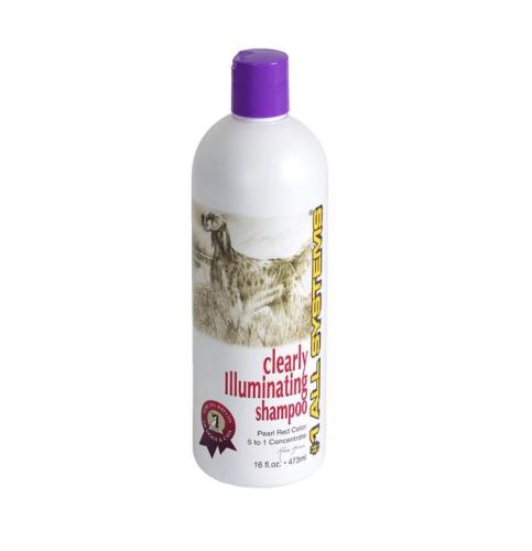 #1 All Systems Clearly Illuminating Shampoo