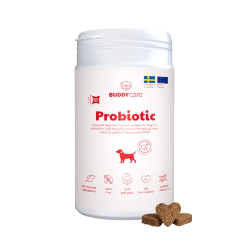 BuddyCare – Probiotic 150 gr