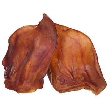 Grisöra