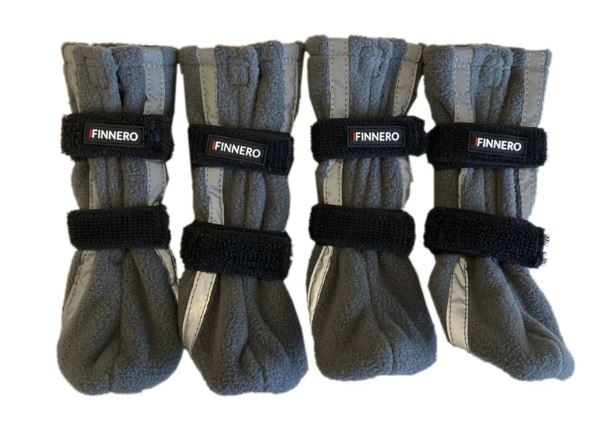 Hundsko Finnero Halla