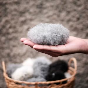 Fårskinnsboll med pipljud, Birger And Company