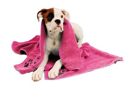 Microtowel, Showtech
