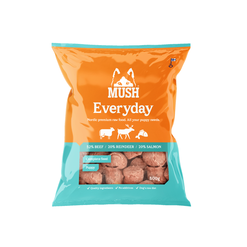Mush Everyday Isblå Puppy