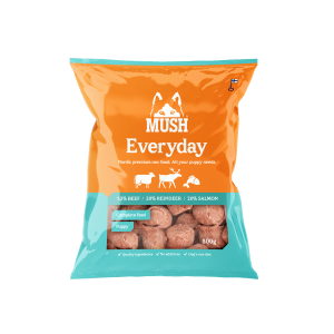 Mush Everyday Isblå Puppy