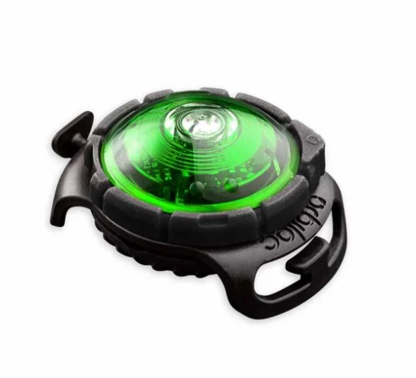 Orbiloc Dual Safety Hundlampa