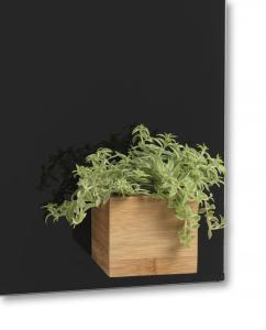 Magnetisk box i bambu för glastavlor