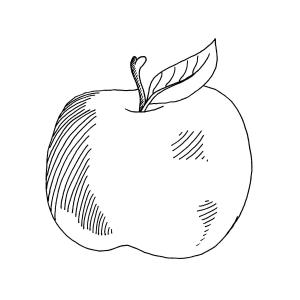 Tärningsbilder 48 st