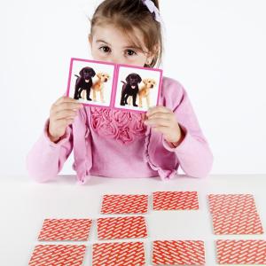 Maxi-Memory ´Husdjur´