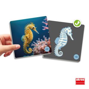 Maxi memory Ryggradsdjur och deras skelett