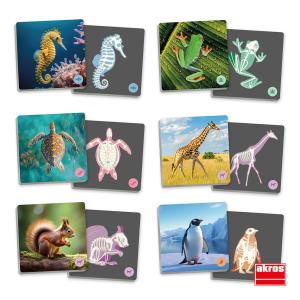 Maxi memory Ryggradsdjur och deras skelett