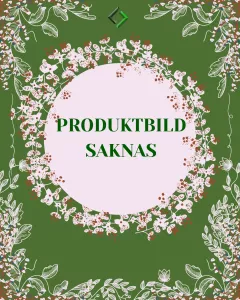 Gnugga 4-6 Gnugga ord 3 Rev 2 Facit 5-pack