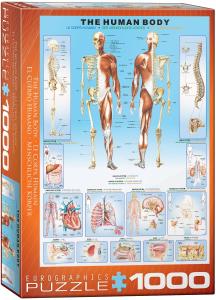 The Human Body Pussel 1000 bitar
