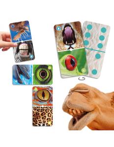 Natudomino ´Zoomar in på djur´