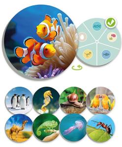 Djurens värld: Upptäck och klassificera