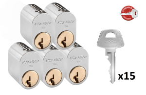 Assa Cylinder 1201 • LL5 • 15 Nycklar