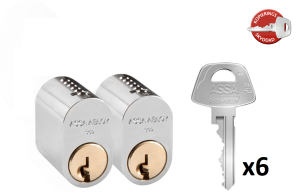 Assa Cylinder 1201 • LL2 • 6 Nycklar