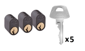 Assa Cylinder 1301 • LL3 • 5 Nycklar • svart mirus