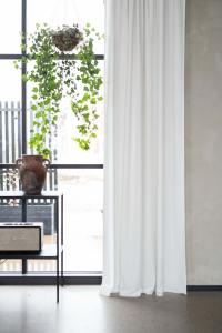 Öljettgardin Sammet Esther Offwhite 2-Pack 135x250cm Fondaco