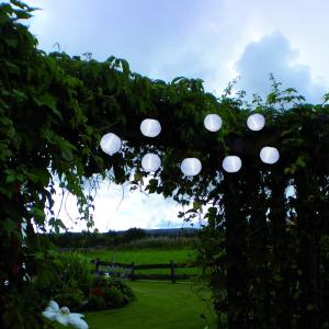 Star Trading Ljusslinga Solcell Vit Festival 2,7m