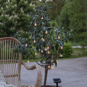 Star Trading Ljusslinga Solcell Transparent Globini 4,75m