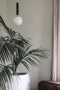 Taklampa Pendel Marmor Svart Globen Lighting Torrano 15cm