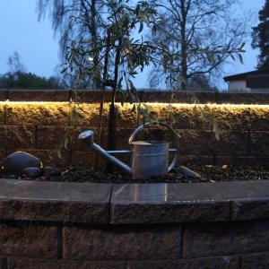 Star Trading Ljusslang Transparent/ Varmvit LED 6m