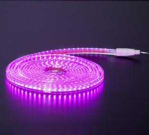 Star Trading Ljusslang Transparent/Rosa Flatsmdled 5m