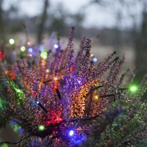 Star Trading Ljusslinga Utomhus Multi Serie Micro LED 3m