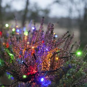 Star Trading Ljusslinga Utomhus Multi Serie Micro LED 9m