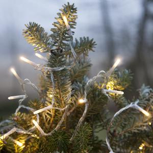 Star Trading Ljusslinga Utomhus Klar Serie Micro LED 3m