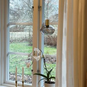 Fönsterlampa Glas Mässing/Rökfärgad Aneta Lighting Bell