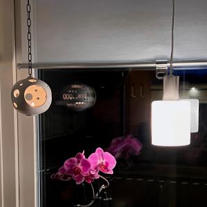 Fönsterlampa Glas Stål/Vit Aneta Lighting Cylinder