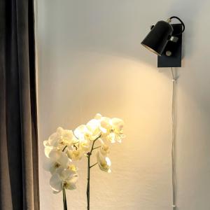 Vägglampa Svart/Mässing Aneta Lighting Metz