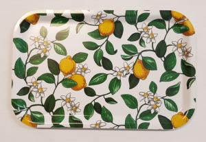 Arvidssons Textil Citronlycka Bricka Vit 33x21cm